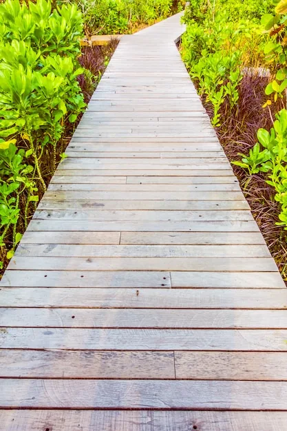 カラマツ材で作られたウッドデッキと庭の風景